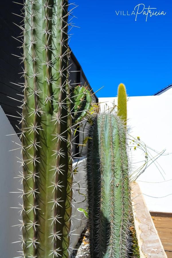 Villa Patricia Corralejo Exteriör bild